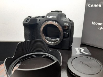 
                                                Photo
                                                 Canon EOS R6 mkII et objectif RF 24-105 mm f/4