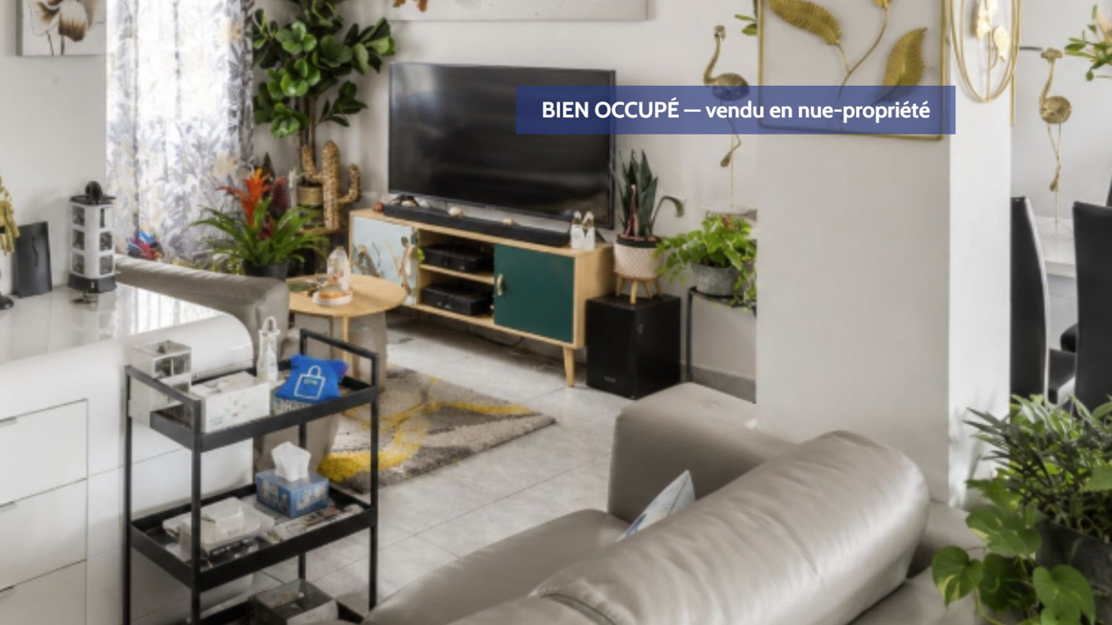 
                                                Vente
                                                 Carros – Investissez avec 55 % de décote !