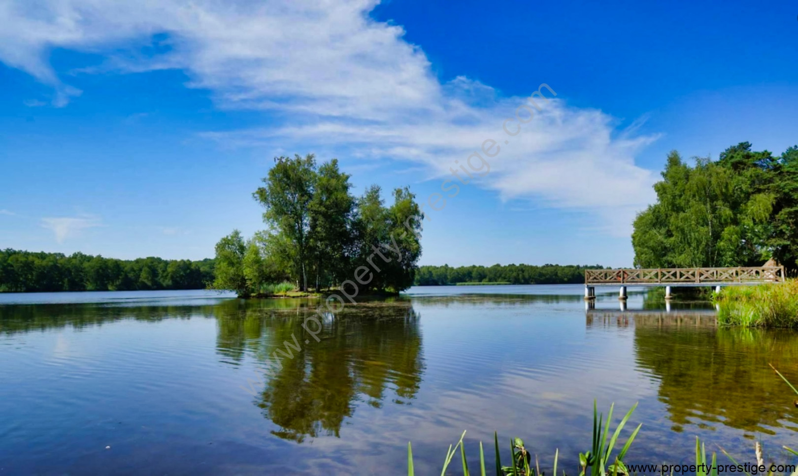 
                                                Vente
                                                 CENTRE LOIRE - MAGNIFIQUE CHATEAU - 175 HA - ETANGS