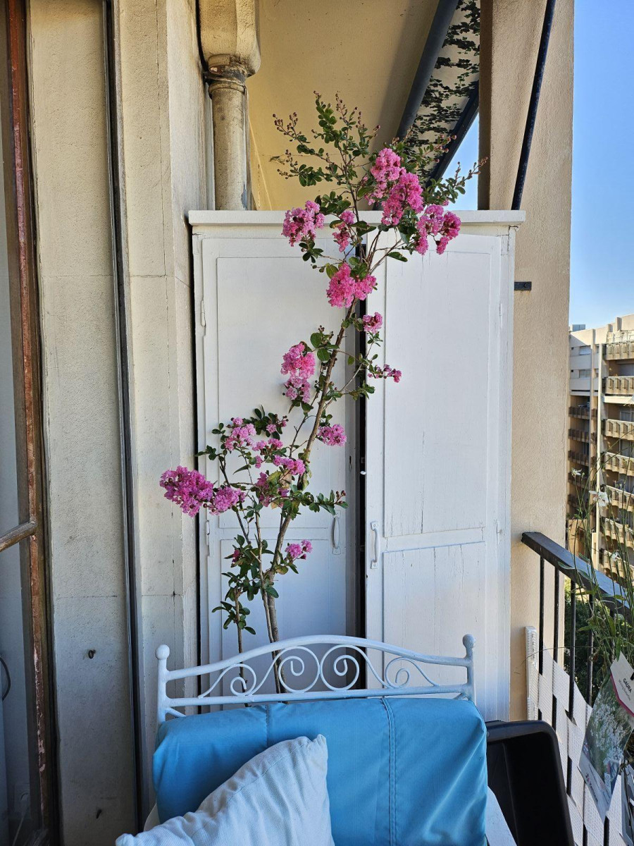 
                                                Colocation
                                                 Chambre avec terrasse vue magique sur Notre Dame.