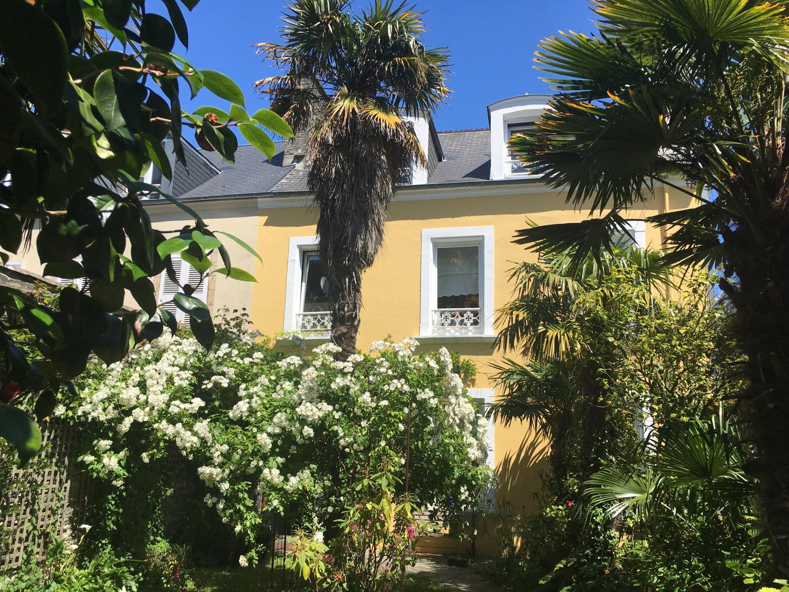 
                                                Colocation
                                                 Chambre dans une maison de charme en centre ville