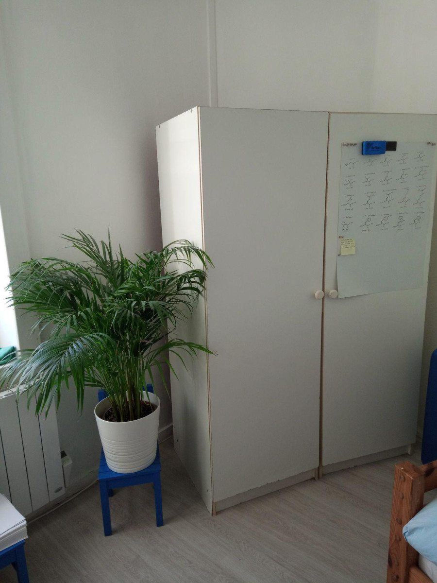 
                                                Location
                                                 Chambre en colocation