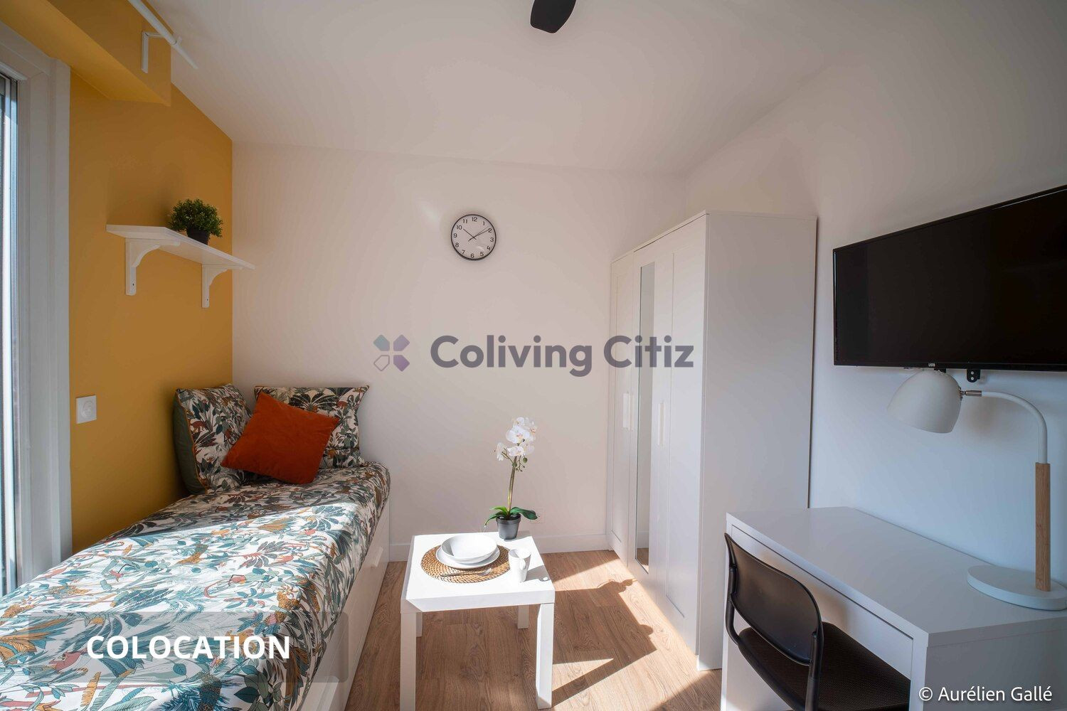 
                                                Colocation
                                                 Chambre en colocation