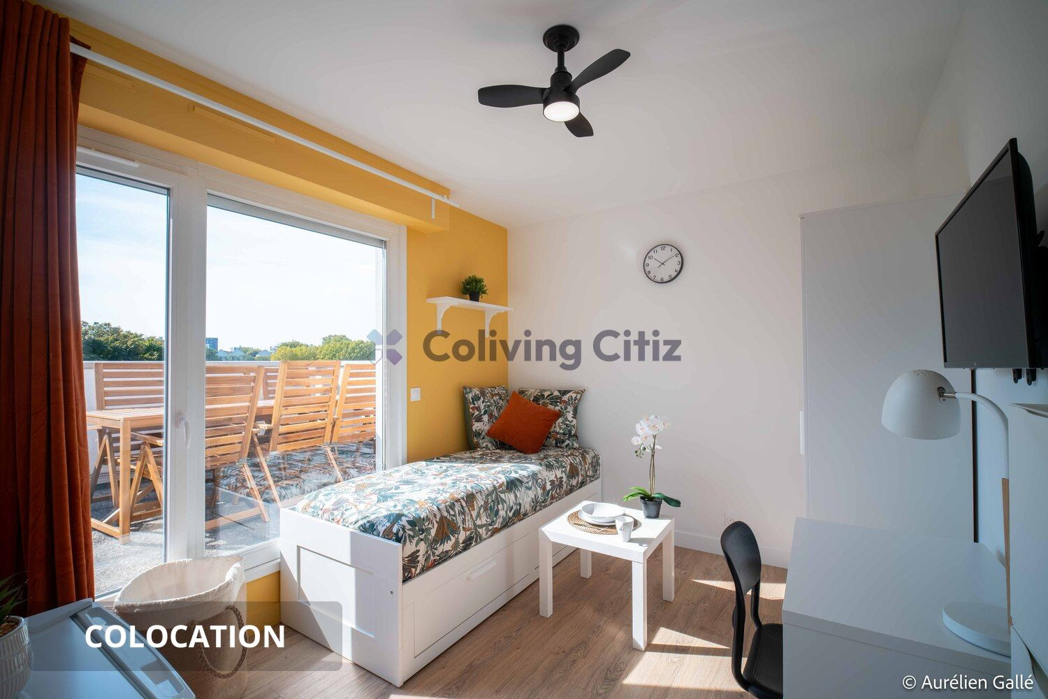
                                                Colocation
                                                 Chambre en colocation