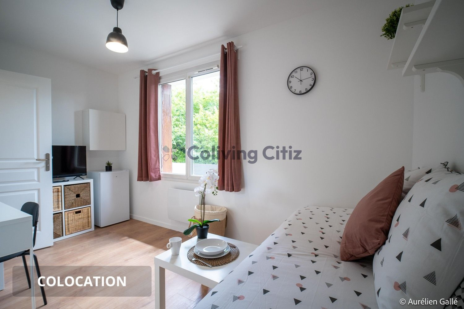 
                                                Colocation
                                                 Chambre en colocation