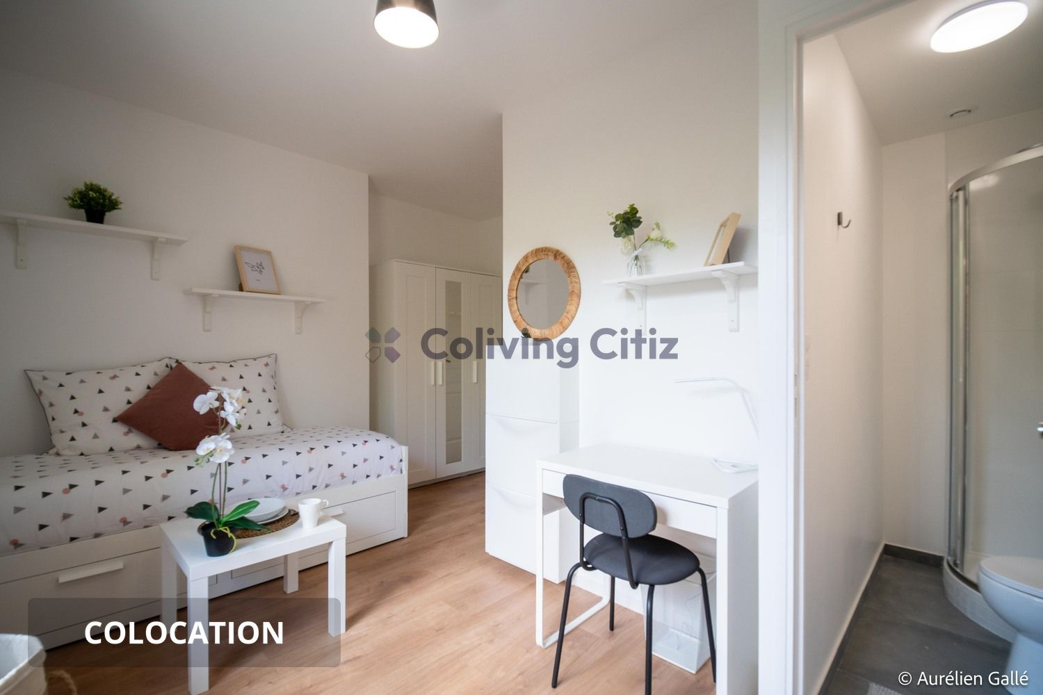 
                                                Colocation
                                                 Chambre en colocation