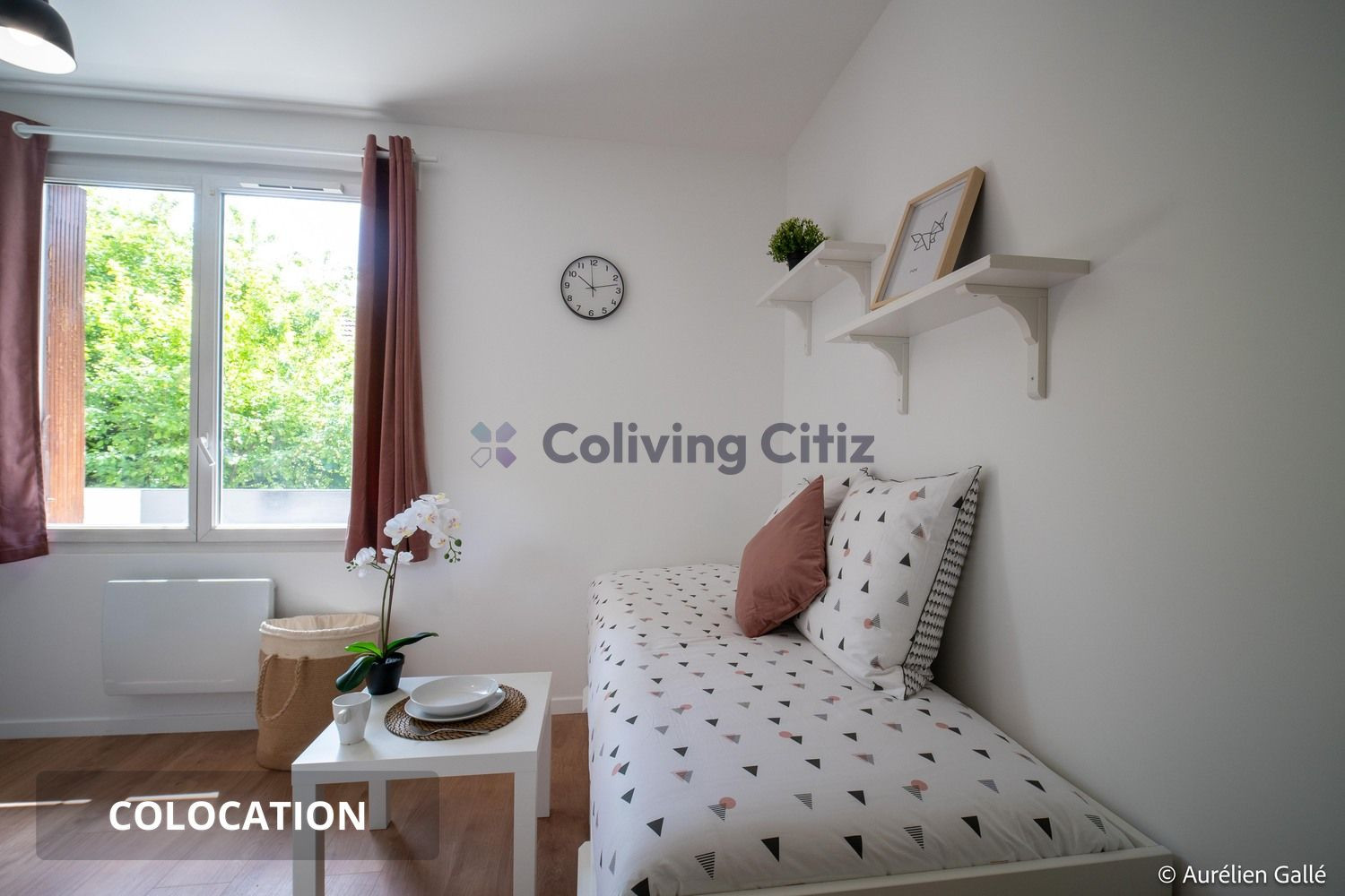 
                                                Colocation
                                                 Chambre en colocation