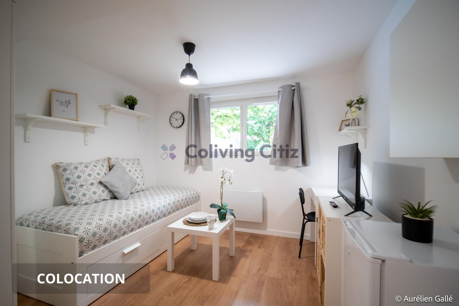 
                                                Colocation
                                                 Chambre en colocation