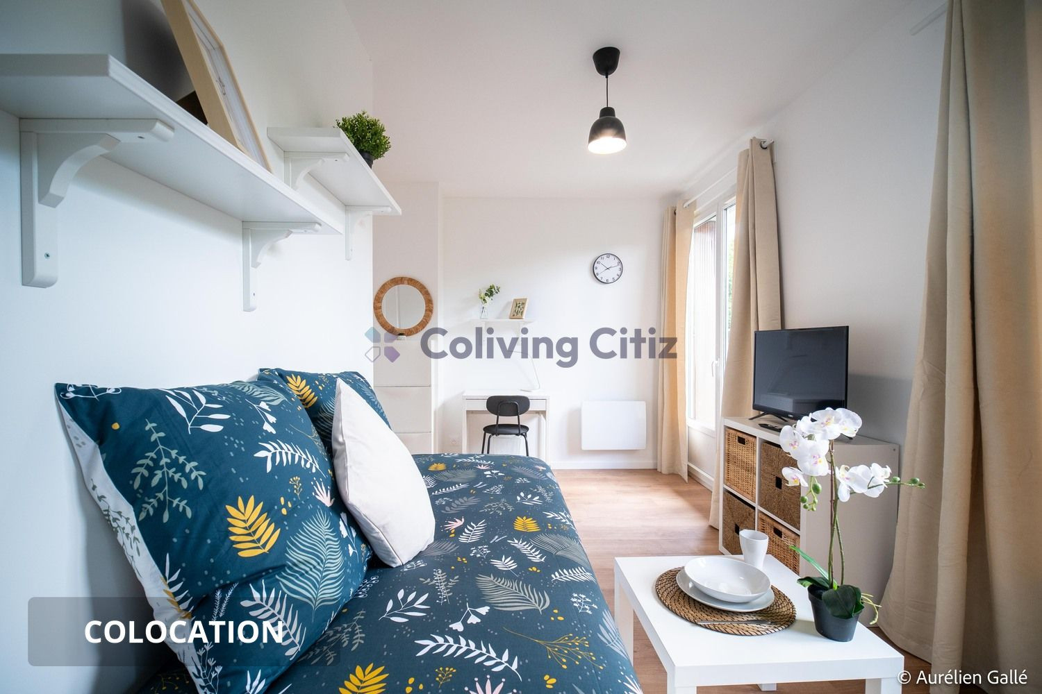 
                                                Colocation
                                                 Chambre en colocation