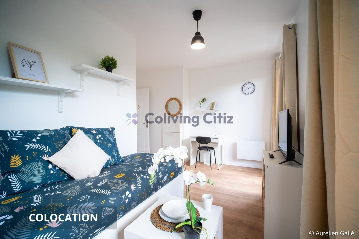 
                                                Colocation
                                                 Chambre en colocation