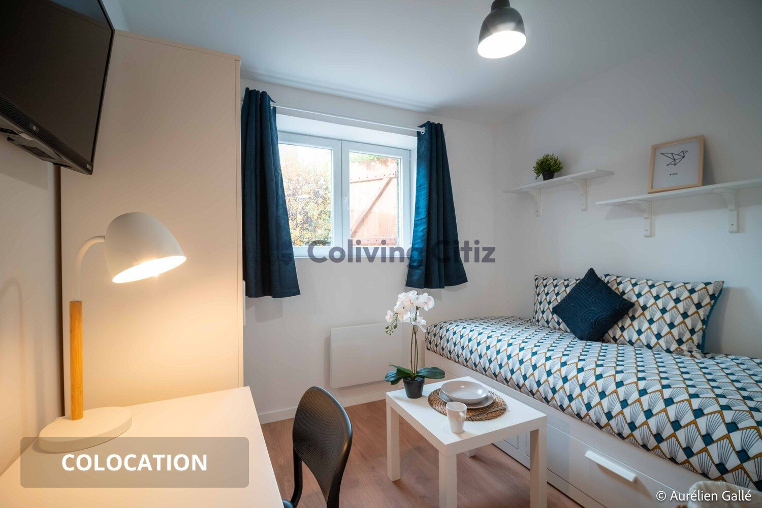 
                                                Colocation
                                                 Chambre en colocation