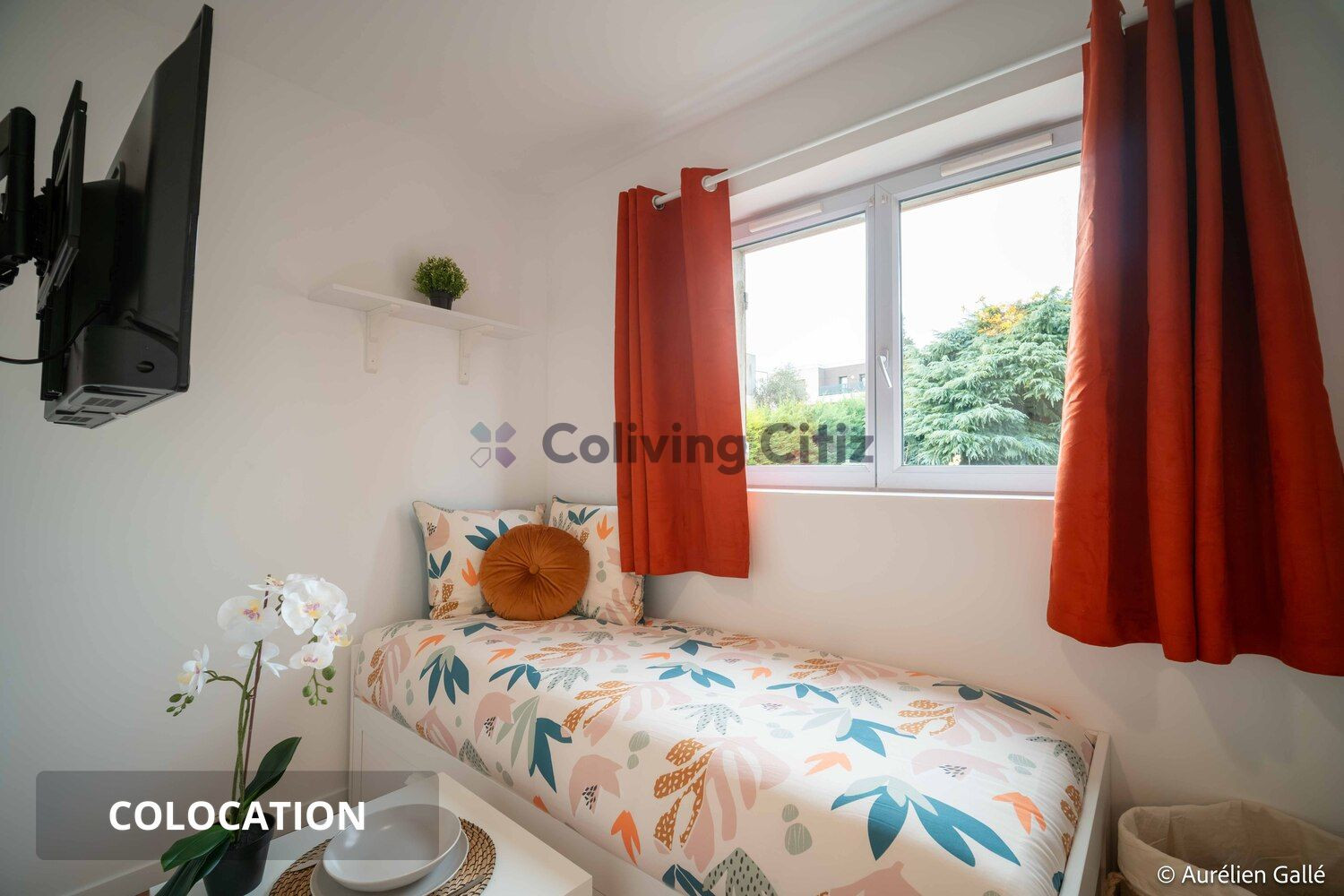 
                                                Colocation
                                                 Chambre en colocation