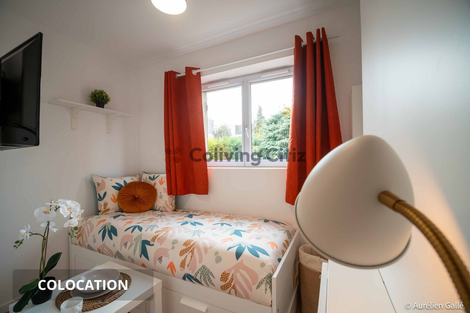
                                                Colocation
                                                 Chambre en colocation