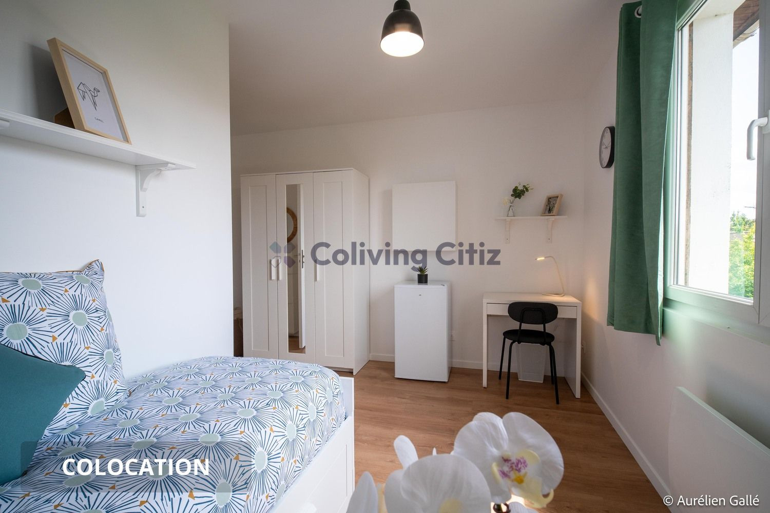 
                                                Colocation
                                                 Chambre en colocation