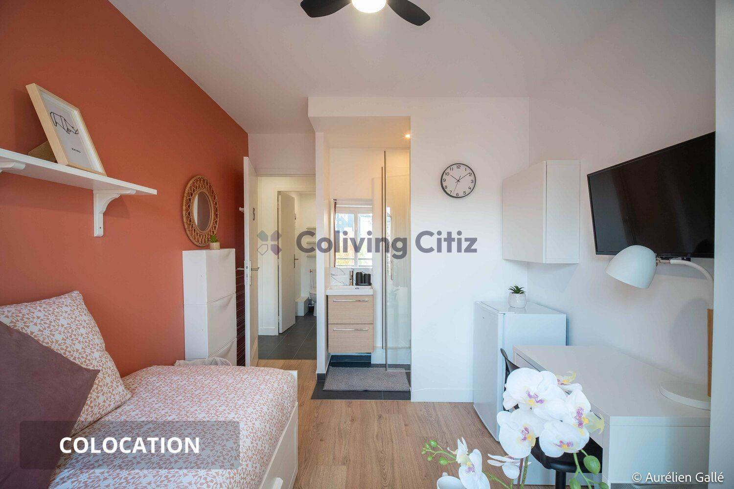 
                                                Colocation
                                                 Chambre en colocation