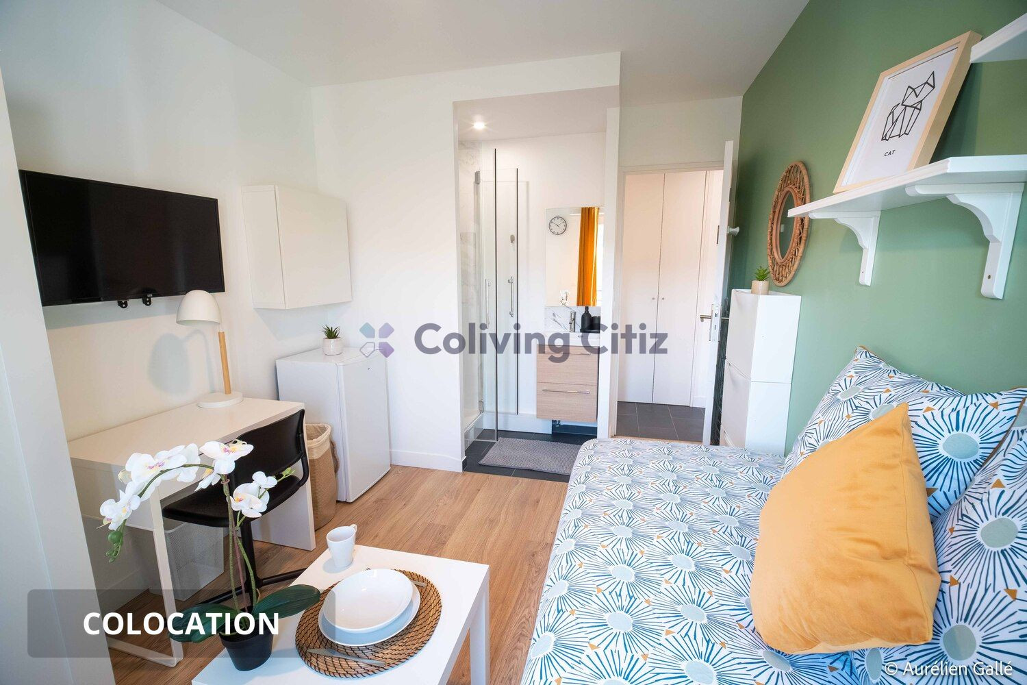 
                                                Colocation
                                                 Chambre en colocation