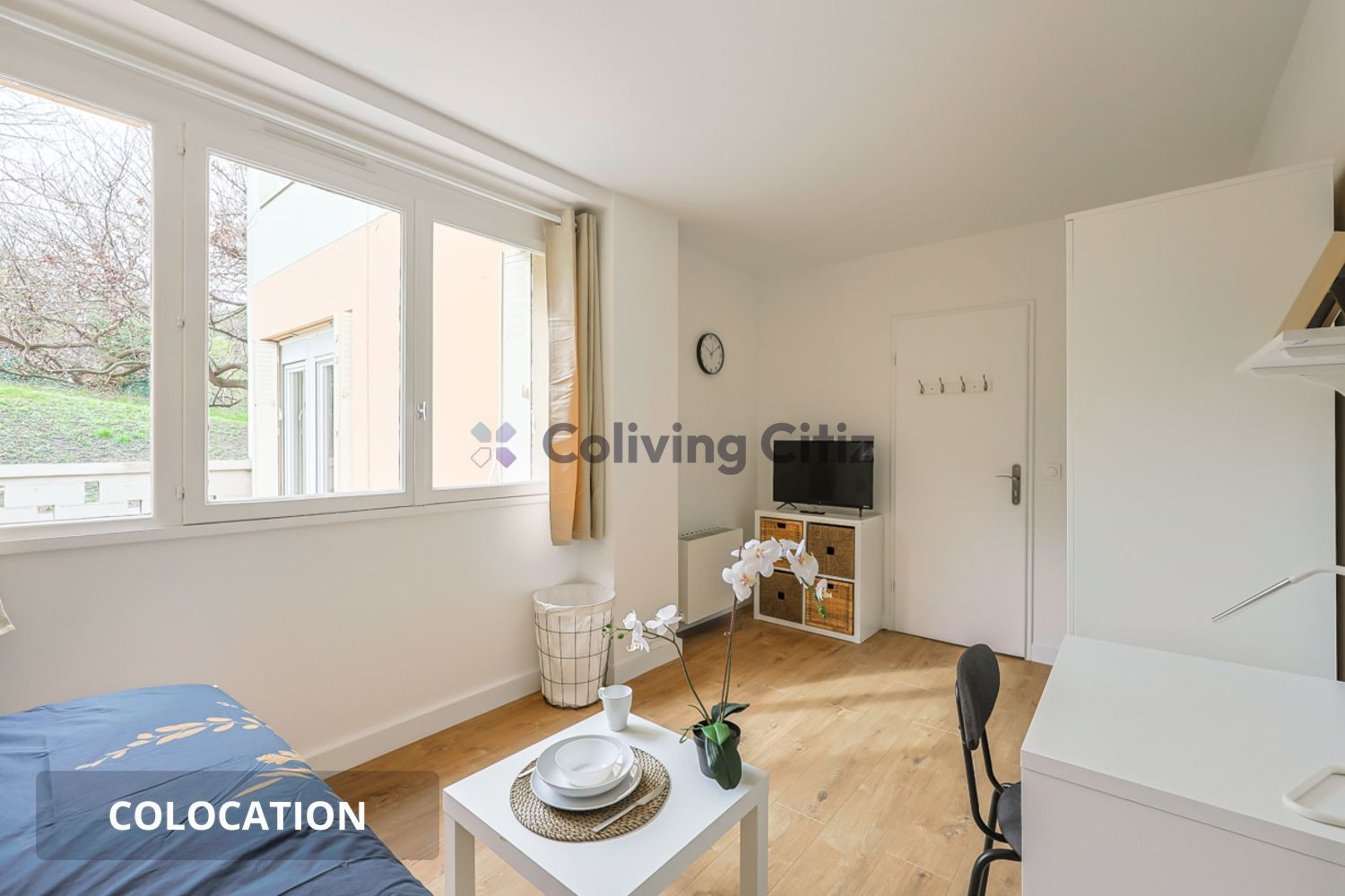 
                                                Colocation
                                                 Chambre en colocation