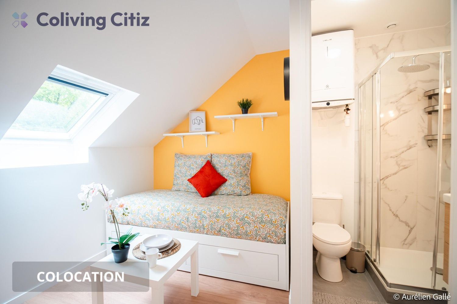 
                                                Colocation
                                                 Chambre meublée avec salle de bain & WC