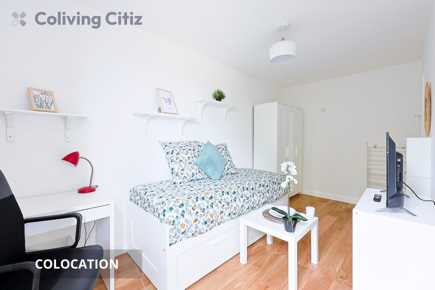 
                                                Colocation
                                                 Chambre meublée en colocation
