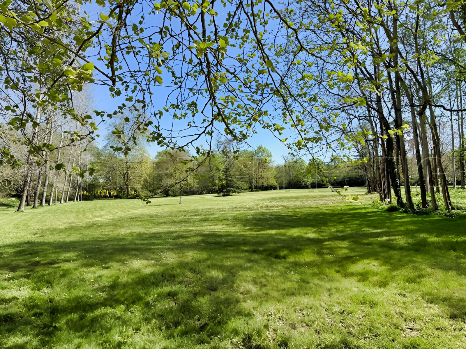
                                                Vente
                                                 CHARENTE MARITIME MANOIR DE CHARME 20 HA RIVIERE