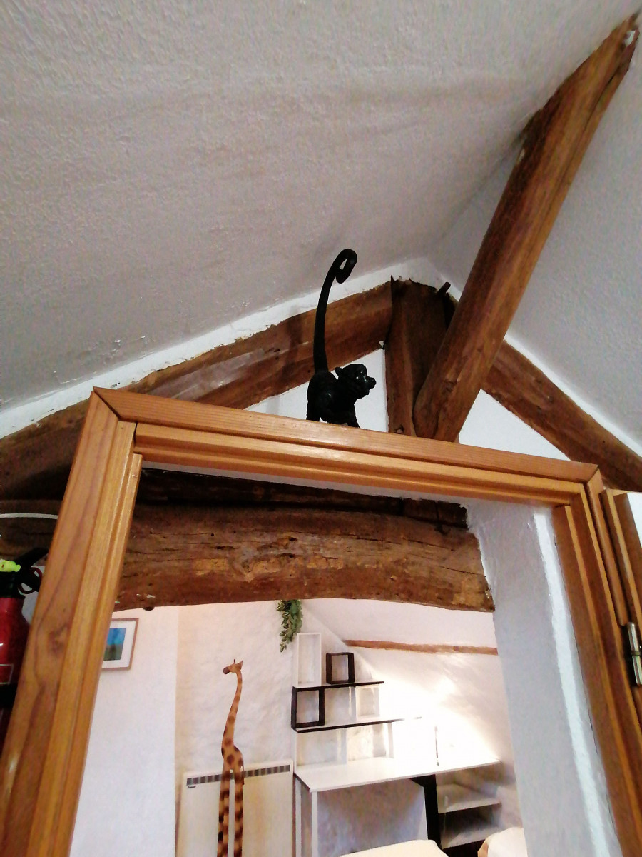 
                                                Location
                                                 Charmant appartement avec espace extérieur (loyer tout inclus)