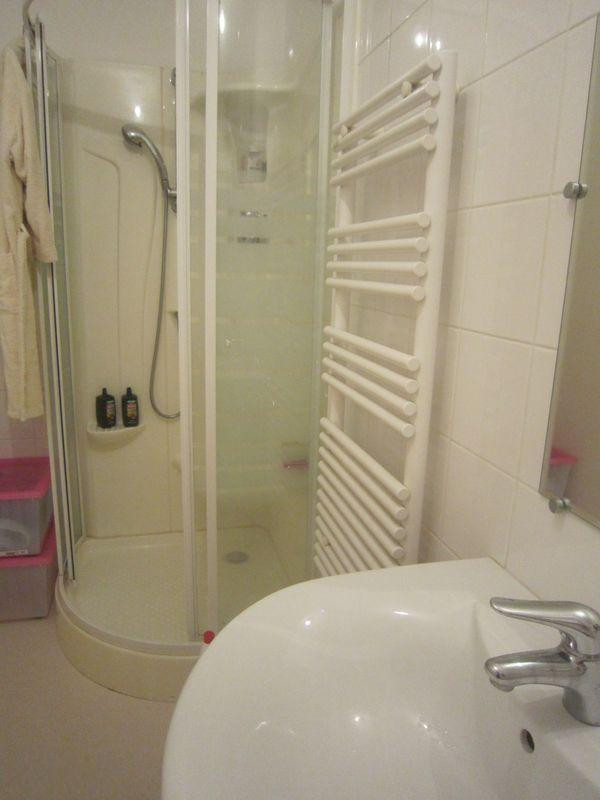 
                                                Location
                                                 Charmant grand studio meuble 40 m2 renne sud