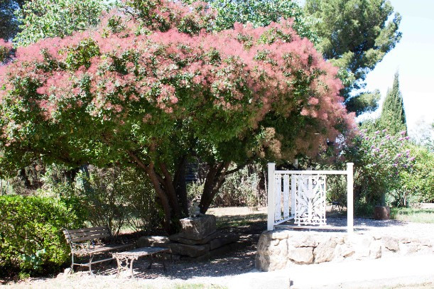 
                                                Vente
                                                 Charmante maison S France - offres plus de 320K