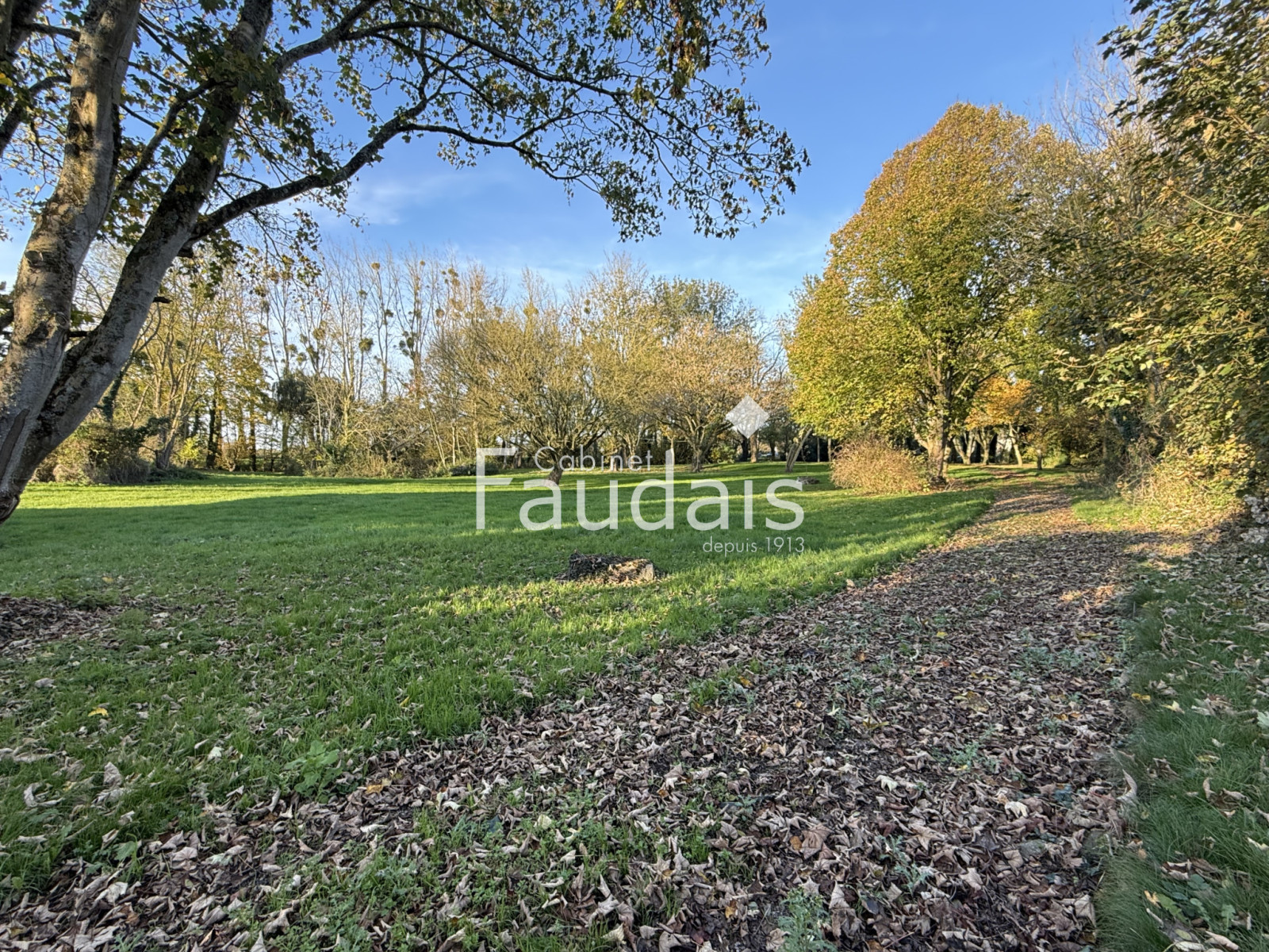 
                                                Vente
                                                 Château en bordure des marais du Cotentin