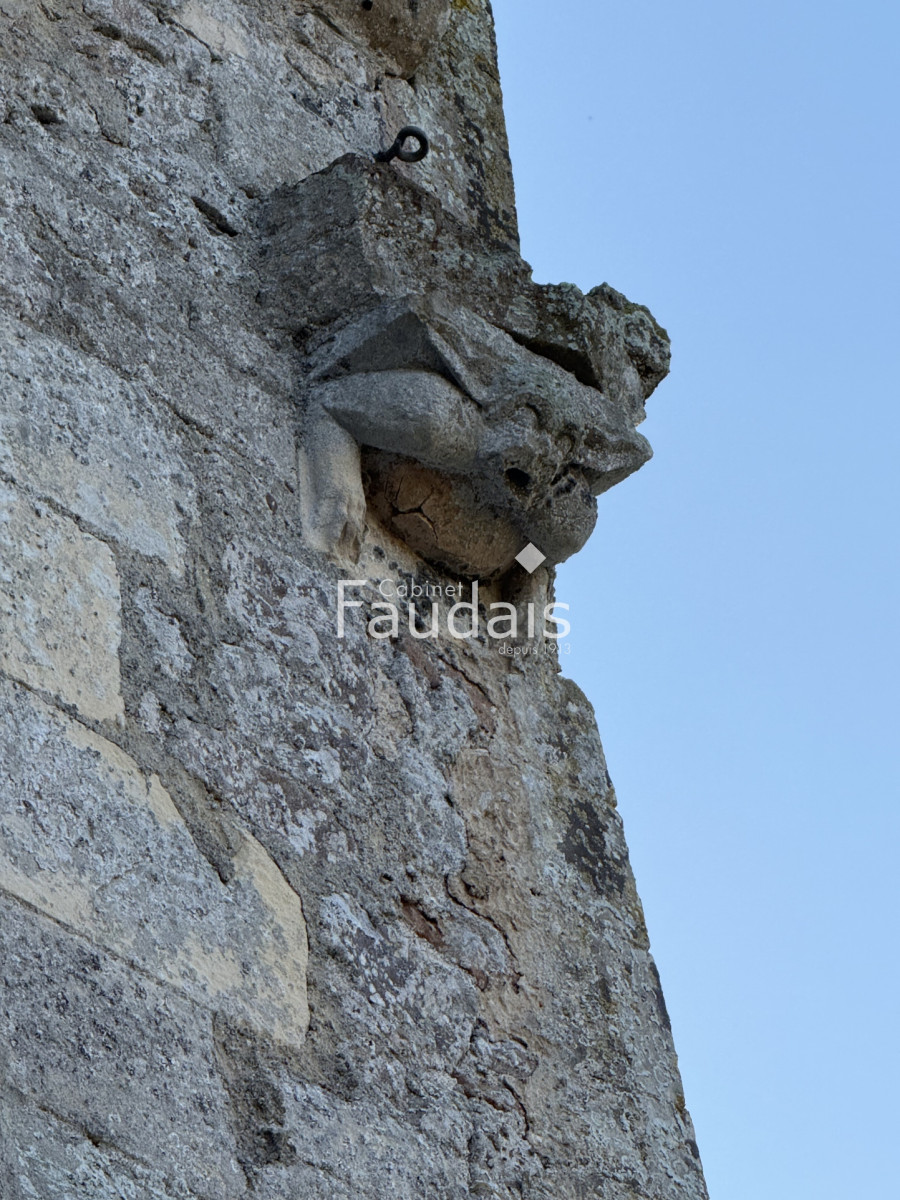 
                                                Vente
                                                 Château en bordure des marais du Cotentin