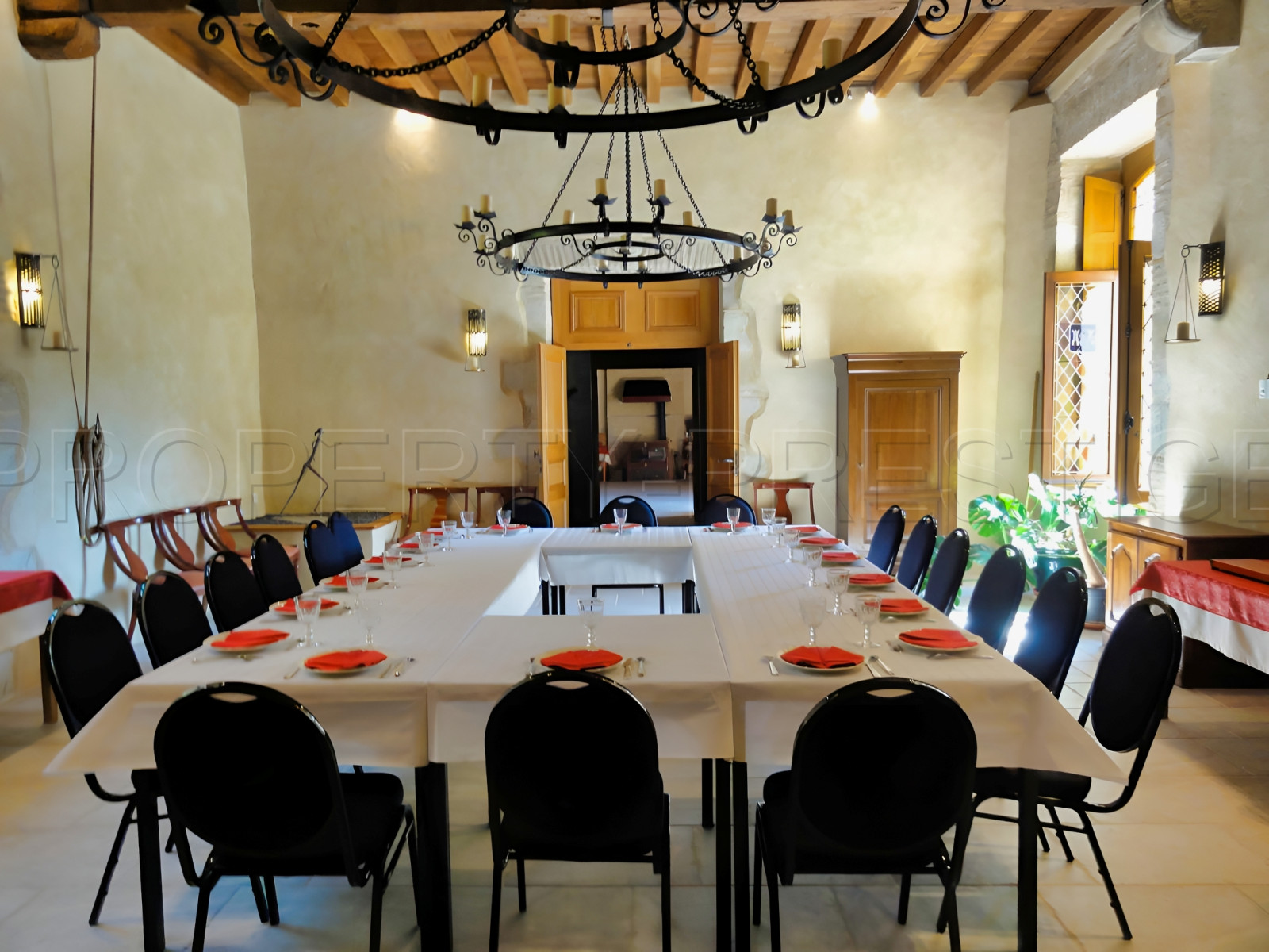 
                                                Vente
                                                 CHÂTEAU SEIGNEURIAL XVème LOT-ET-GARONNE/DORDOGNE