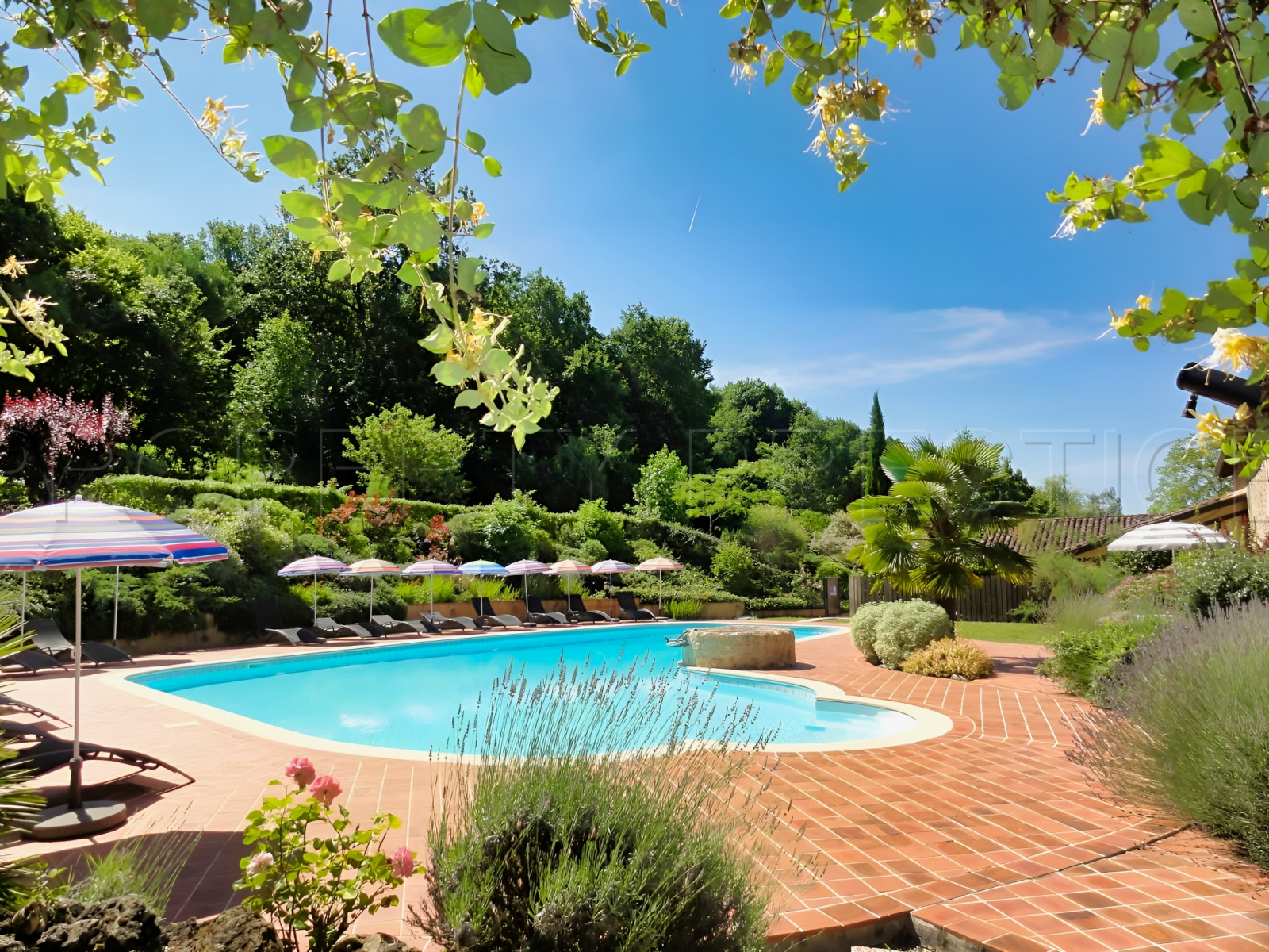 
                                                Vente
                                                 CHÂTEAU SEIGNEURIAL XVème LOT-ET-GARONNE/DORDOGNE