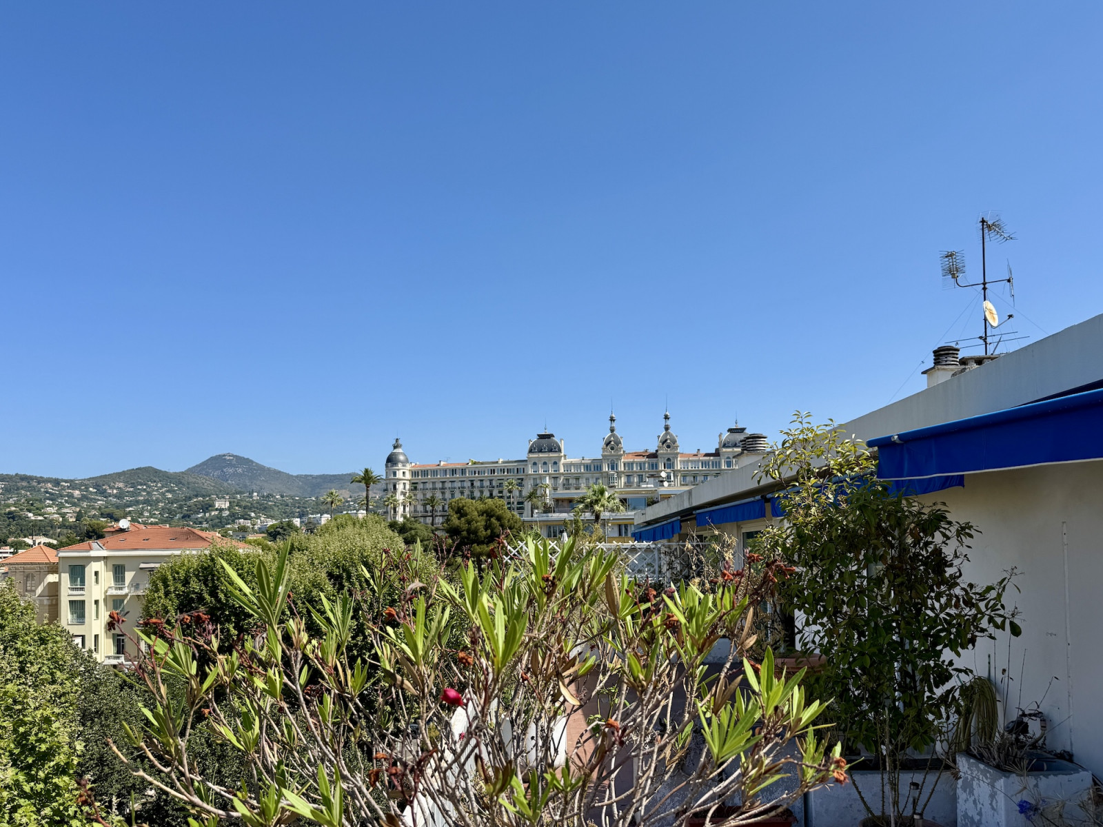 
                                                Vente
                                                 Cimiez Historique – Dernier étage avec terrasse circulaire, vue mer et palais Belle Époque