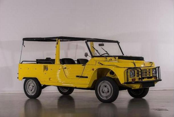 
                                                Voiture
                                                 Citroën Mehari 4x4