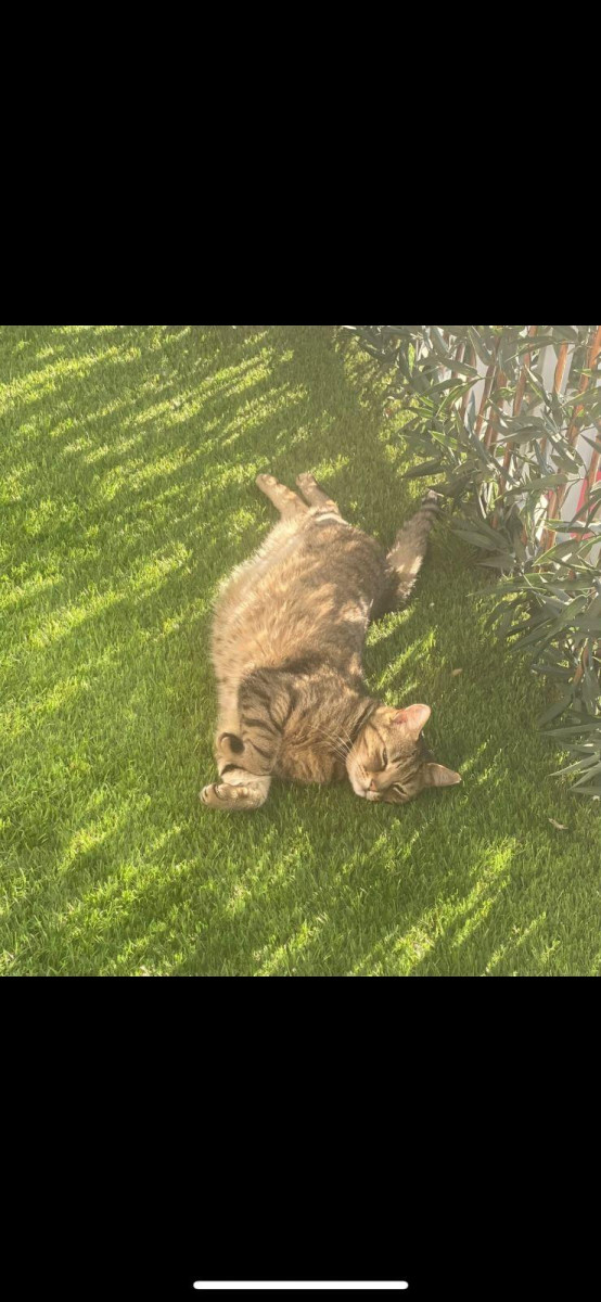 
                                                Colocation
                                                 Coloc conviviale à Chaville