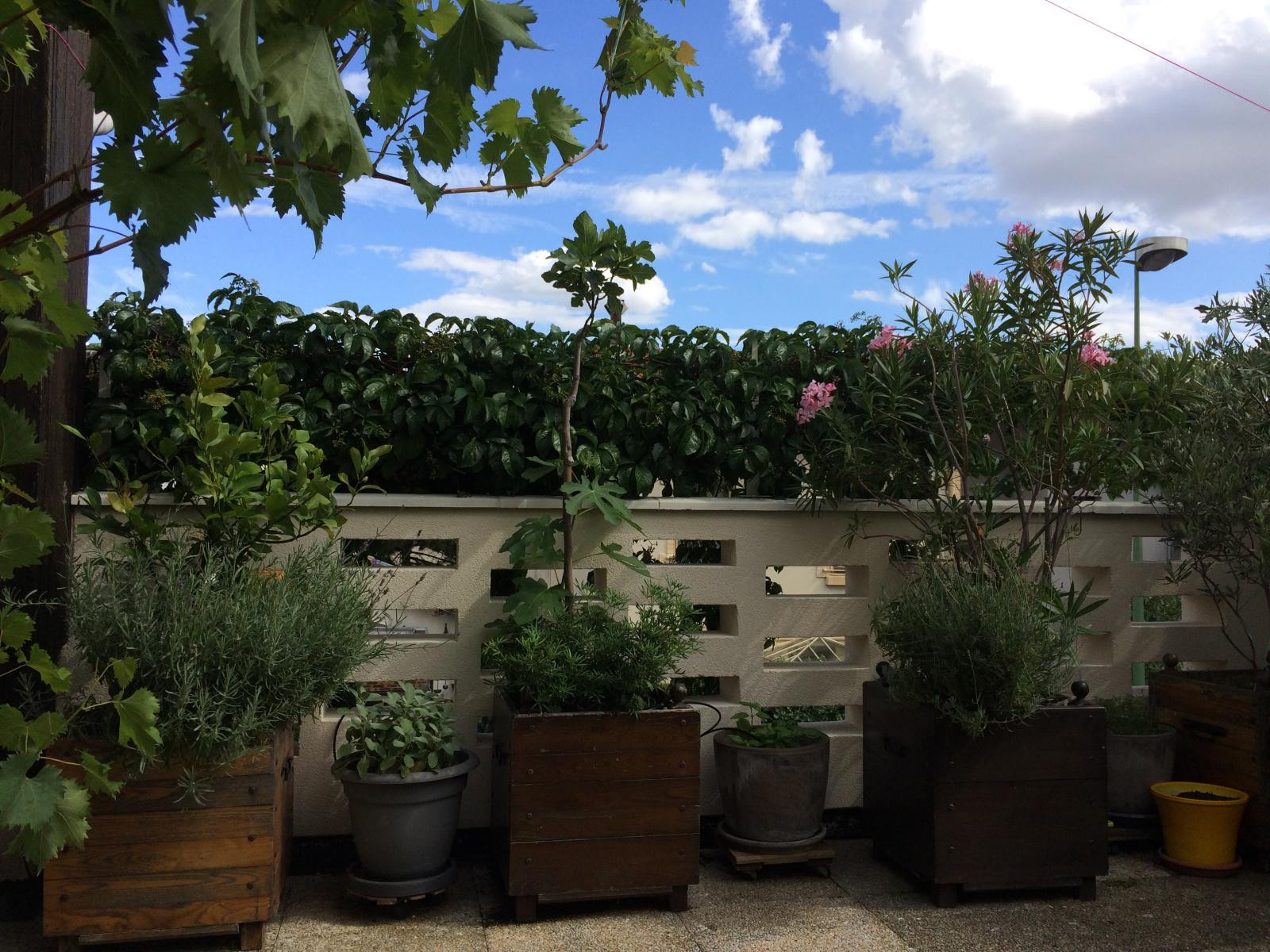 
                                                Colocation
                                                 Coloc maison avec Terrasse- Chambre double meublée