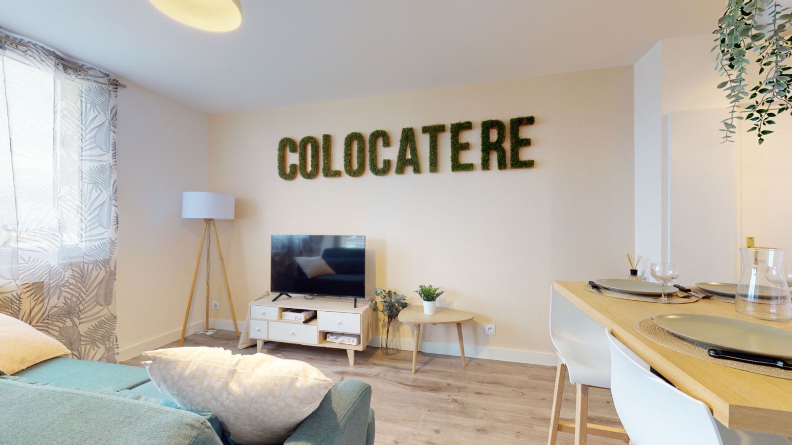 
                                                Colocation
                                                 Colocation 3 chambres