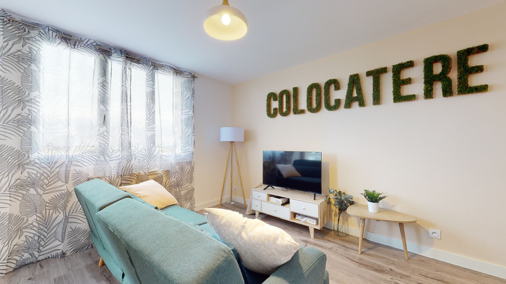 
                                                Colocation
                                                 Colocation 3 chambres