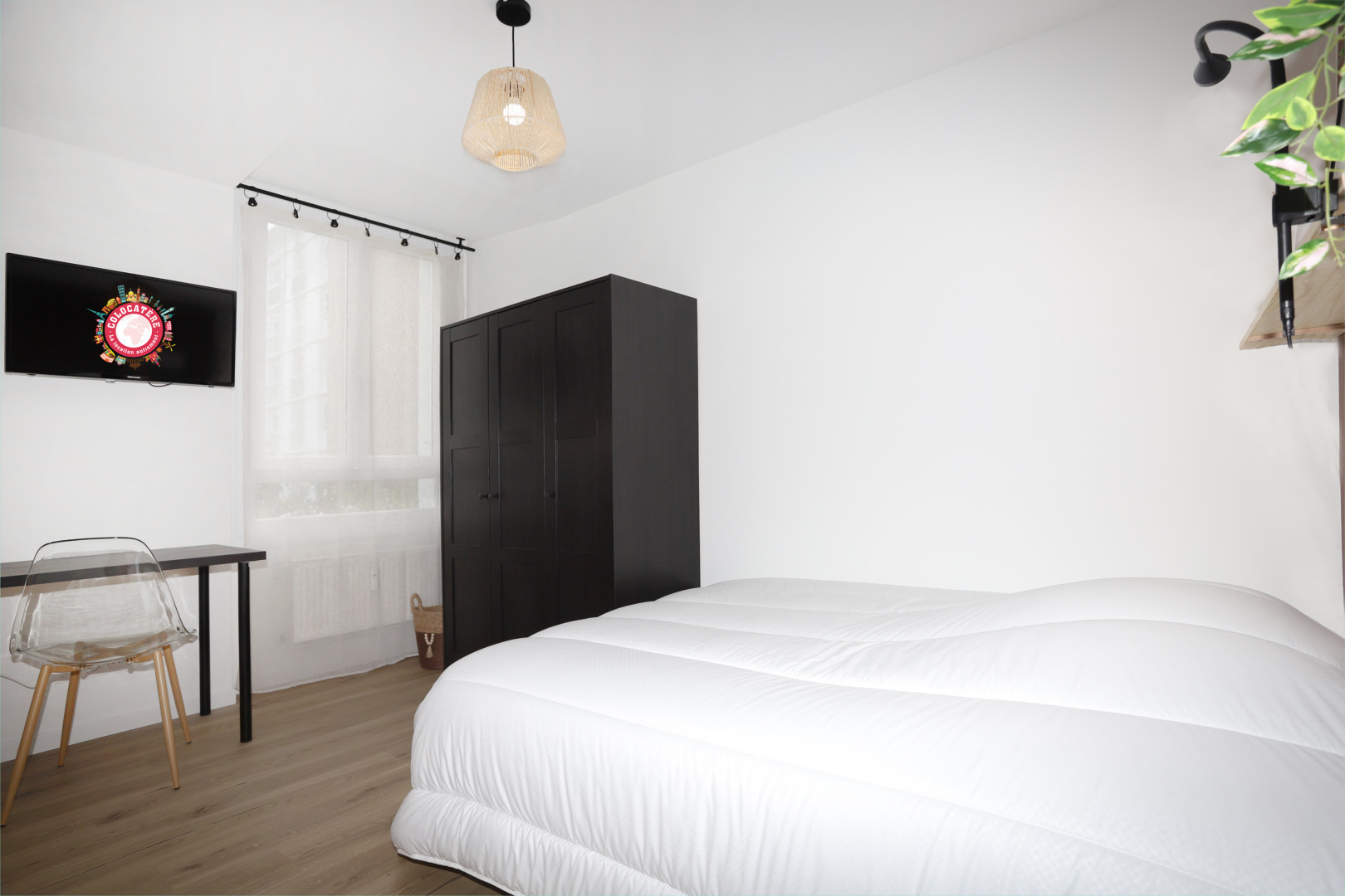 
                                                Colocation
                                                 Colocation 4 chambres