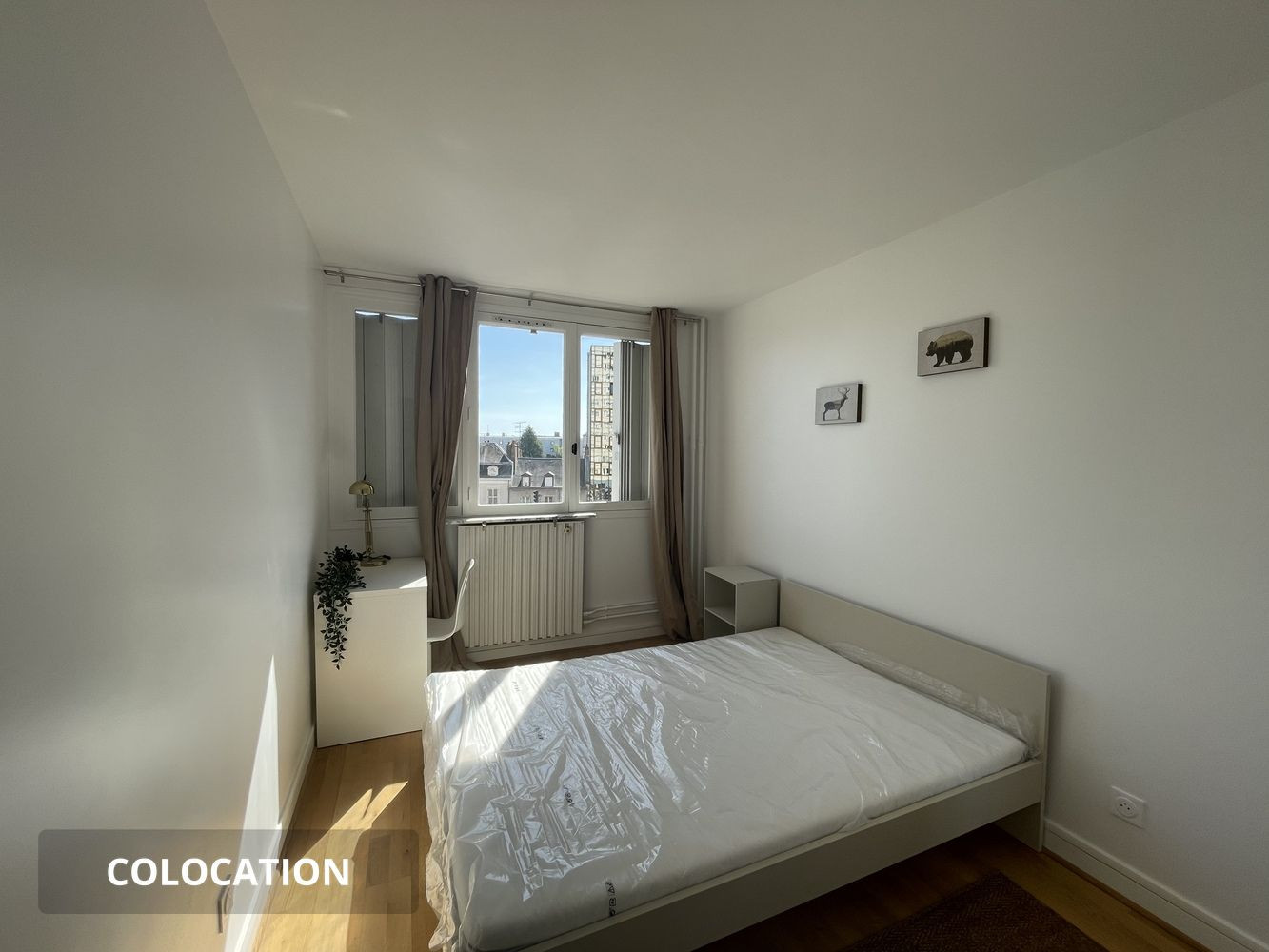 
                                                Colocation
                                                 Colocation spacieuse 4 chambres Orléans gare