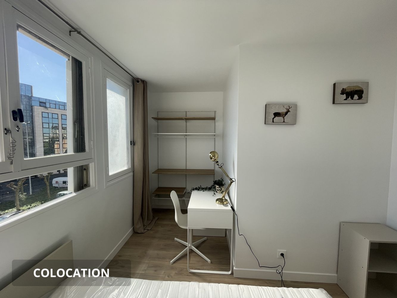 
                                                Colocation
                                                 Colocation spacieuse 4 chambres Orléans gare