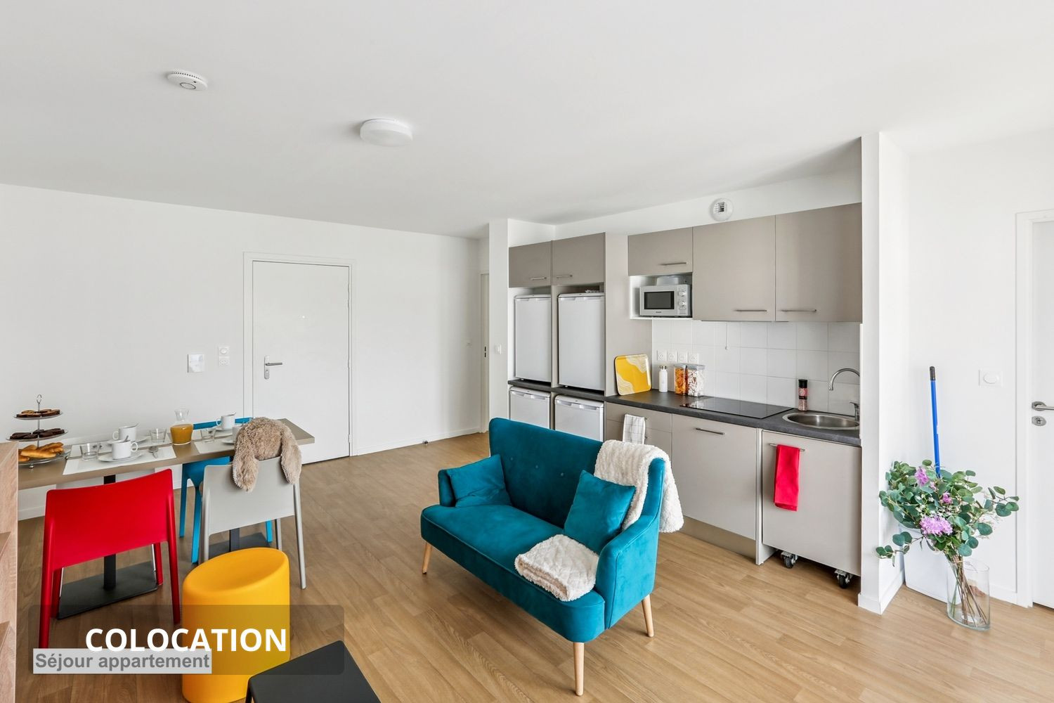 
                                                Colocation
                                                 Chambre en colocation - Douche privative