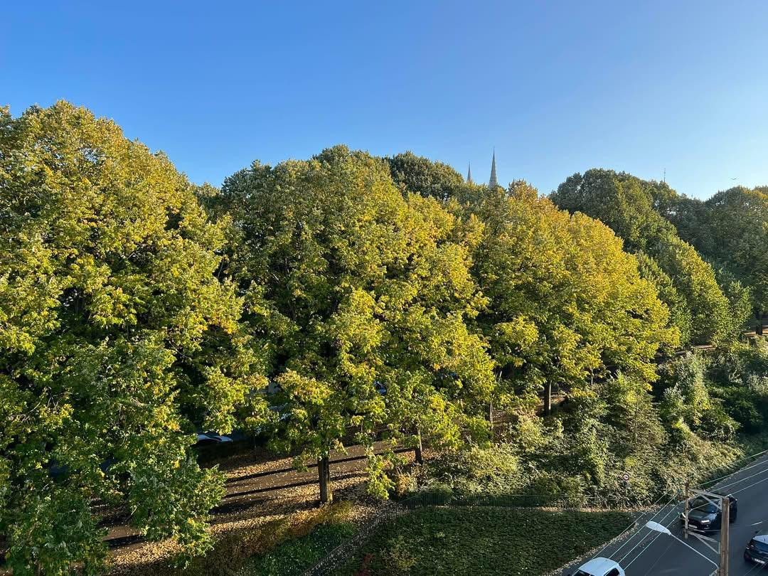 
                                                Location
                                                 Confort, emplacement et luminosité à ne pas rater
