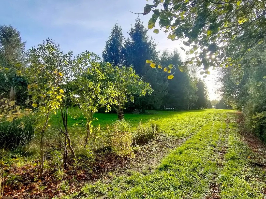 
                                                Vente
                                                 Corps de ferme rénové