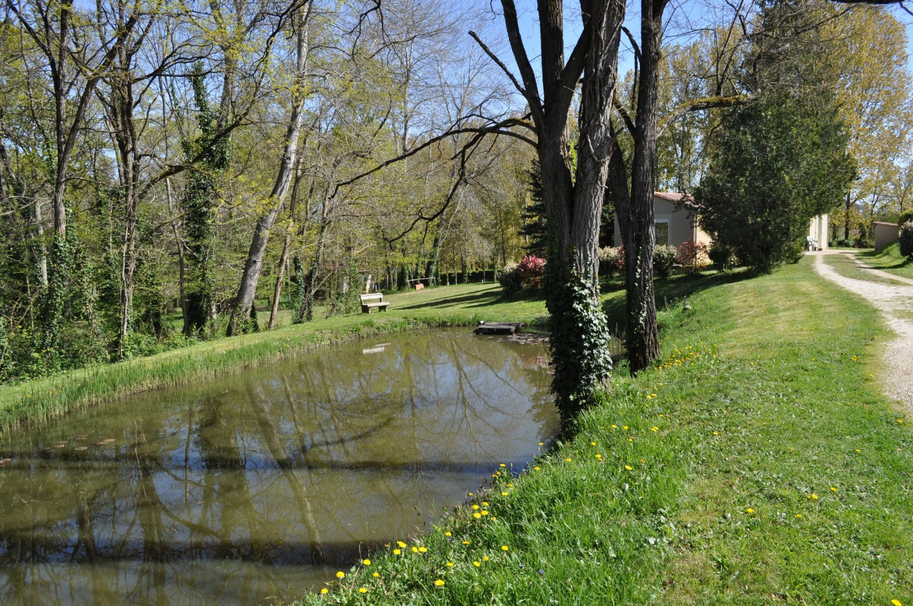 
                                                Vente
                                                 DEUX maisons sur 2ha40 à 2kms du centre de SARLAT