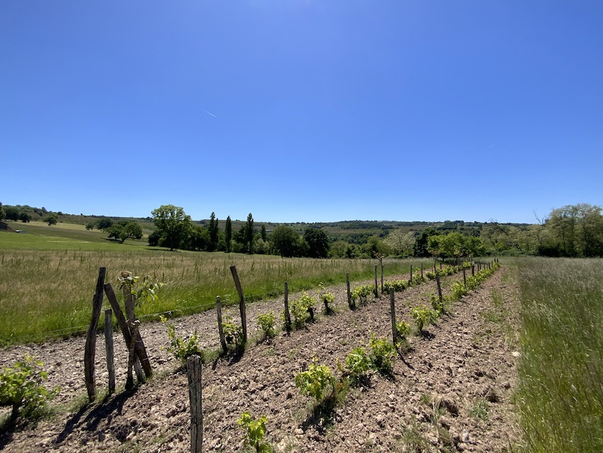 
                                                Vente
                                                 Deux terrains à bâtir sur un terrain de 1,3 ha, 