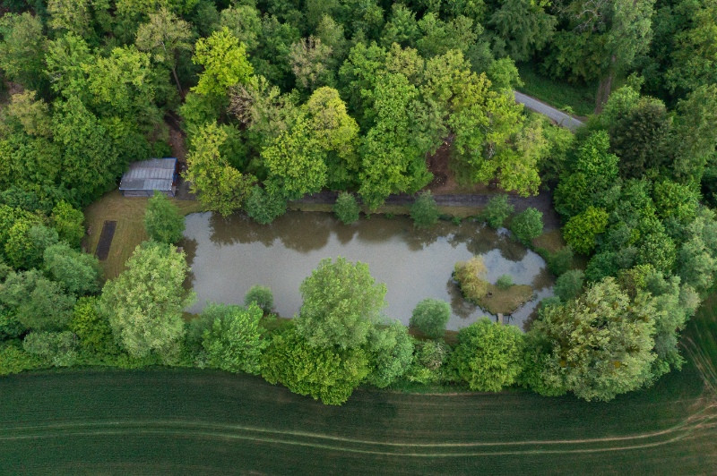 
                                                Vente
                                                 Domaine d'exception  –  Bocage Avesnois