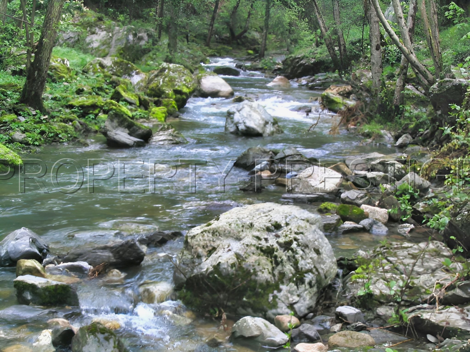 
                                                Vente
                                                 ARDECHE Domaine du XIXe 5 ha Bord de rivière
