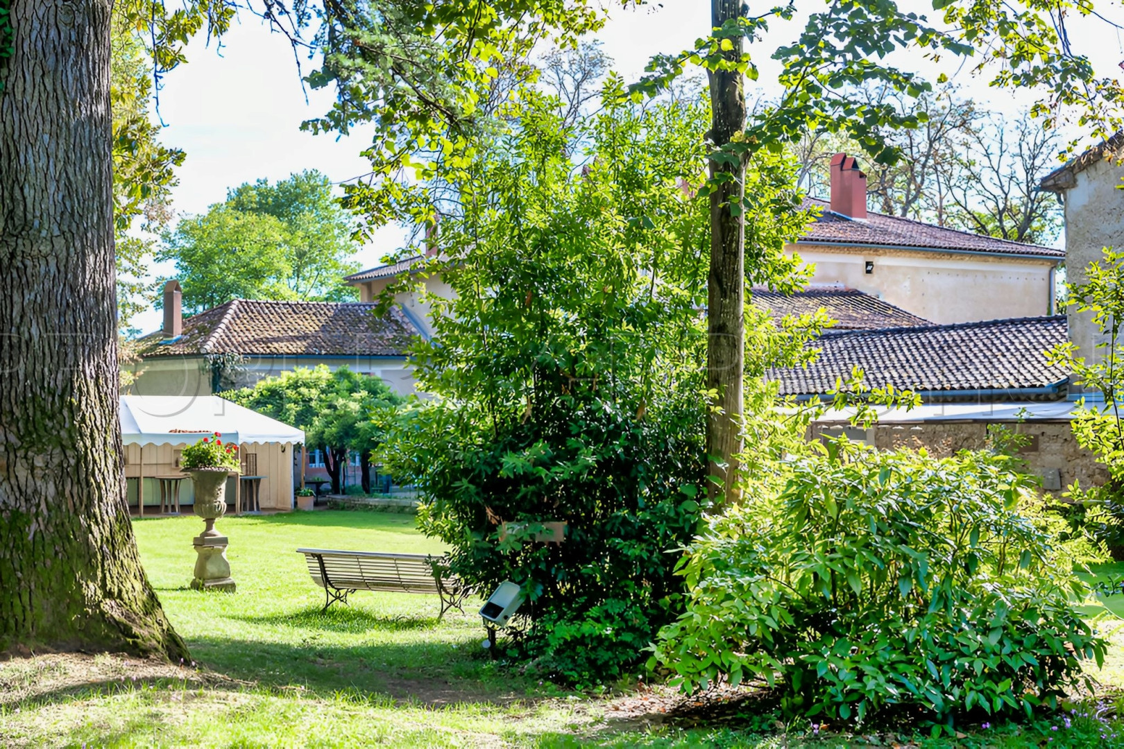 
                                                Vente
                                                 DOMAINE HISTORIQUE région Toulouse (Tarn) 2.5 HA