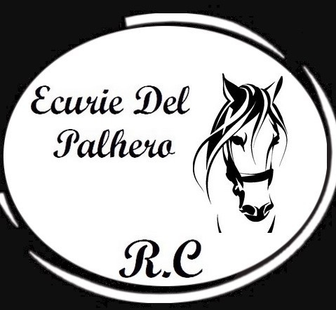 
                                                Vente
                                                 DOMAINE OU CENTRE EQUESTRES