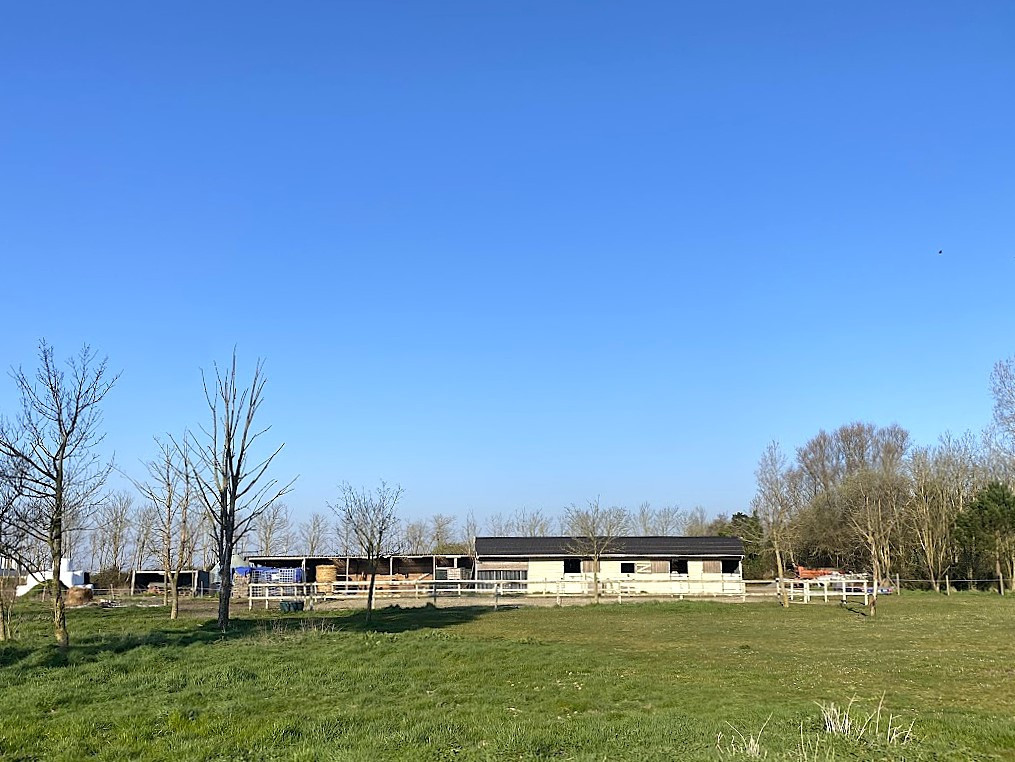 
                                                Vente
                                                 Domaine pour résidence, chasse, pêche, équitation